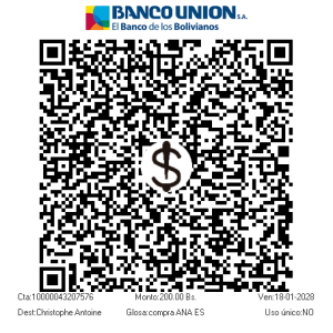 QR Pago