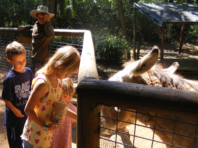 Alma zoo